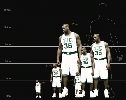 how to shrink nba jersey